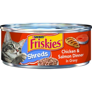 Best shredded cat best sale food